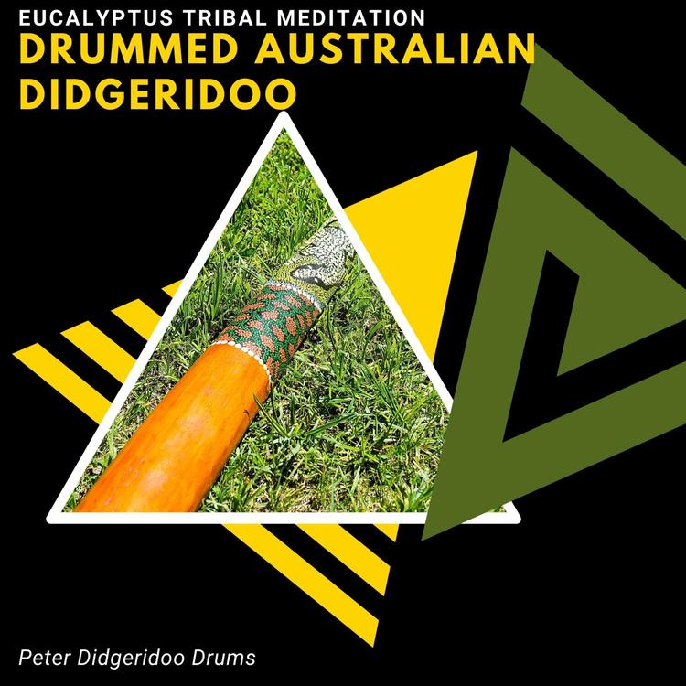 Peter Didgeridoo Drums's avatar image