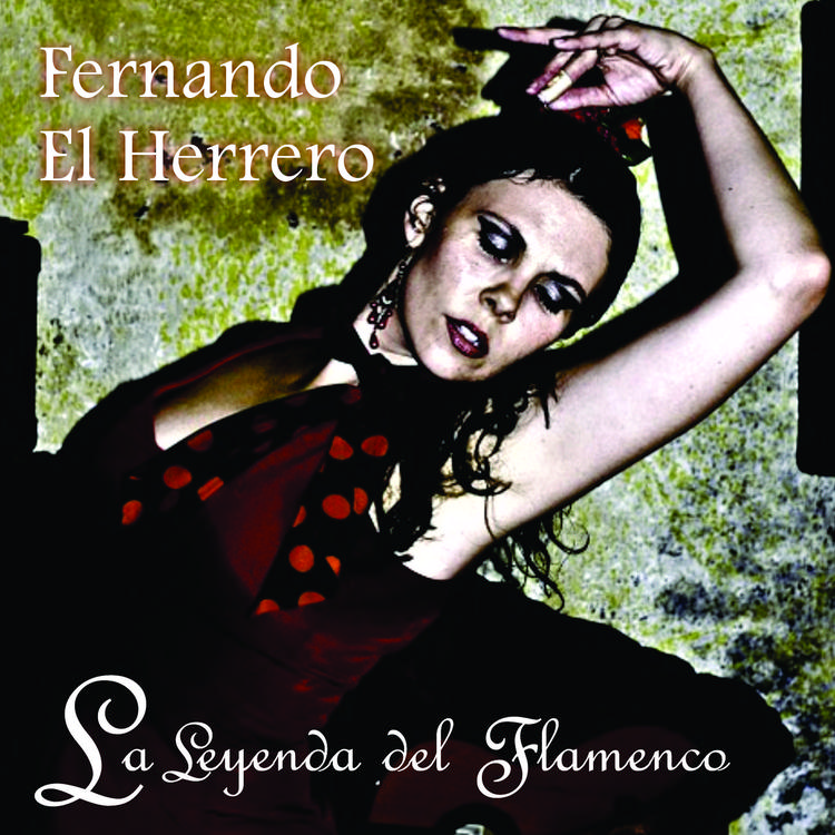 Fernando El Herrero's avatar image