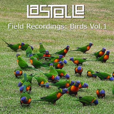 Field Recordings: Birds Vol. 1's cover