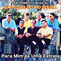Agrupamento Musical Gaivotas Do Rio Sousa's avatar cover