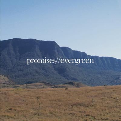 Presets's cover