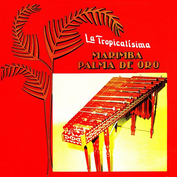 Marimba Palma De Oro's avatar image