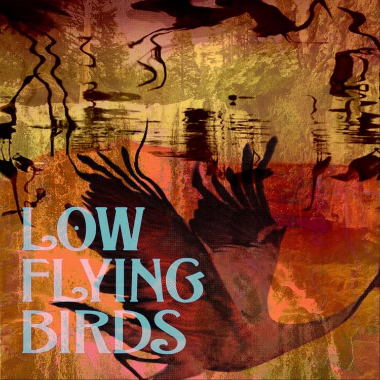 Low Flying Birds's avatar image