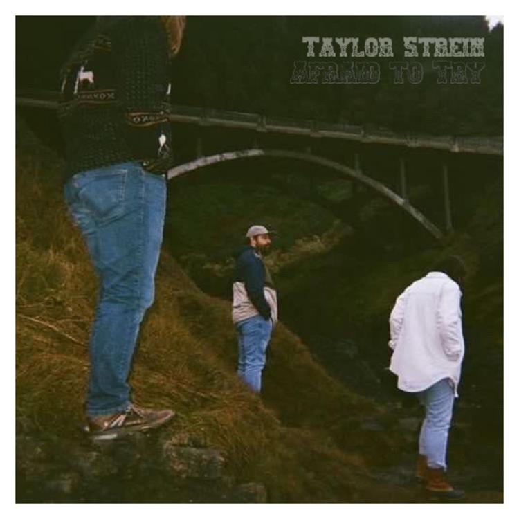 Taylor Strein's avatar image