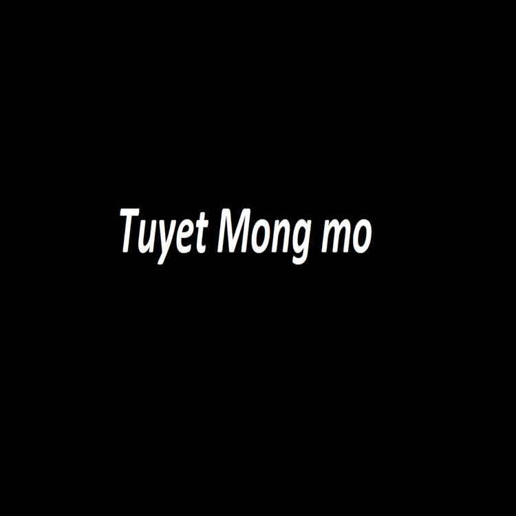 Tuyet Mong Mo's avatar image