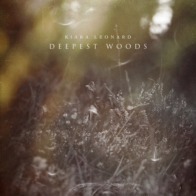 Deepest Woods's cover