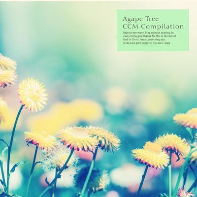 Happy Sensation Of Agape Tree's cover