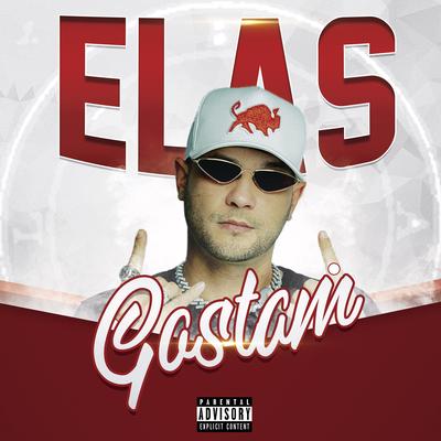 Elas Gostam By Laab MC's cover