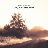 Voice of Praise's avatar cover