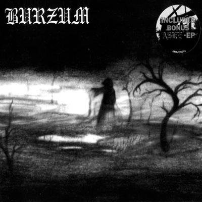 Feeble Screams from Forests Unknown By Burzum's cover