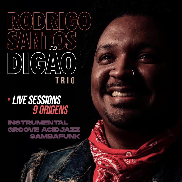 Rodrigo Santos Digão's avatar image