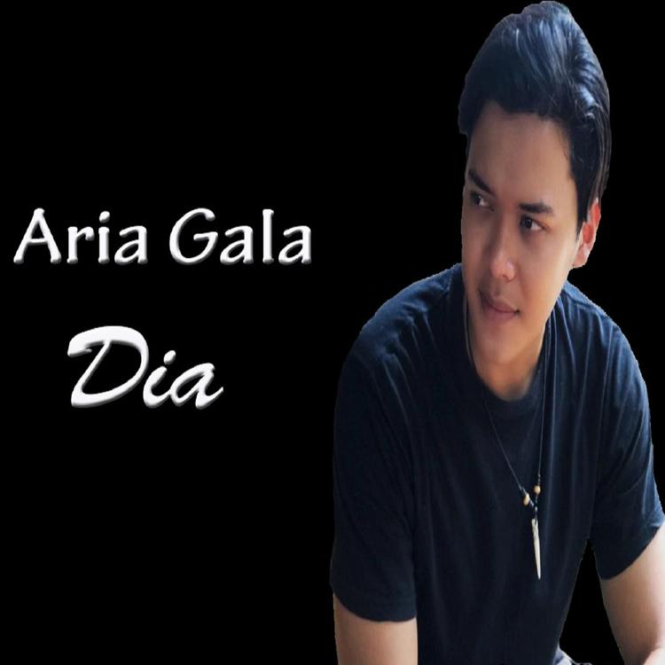 Aria Gala's avatar image