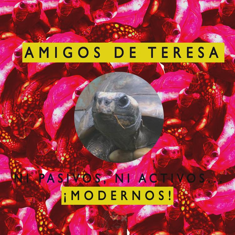 Amigos de Teresa's avatar image