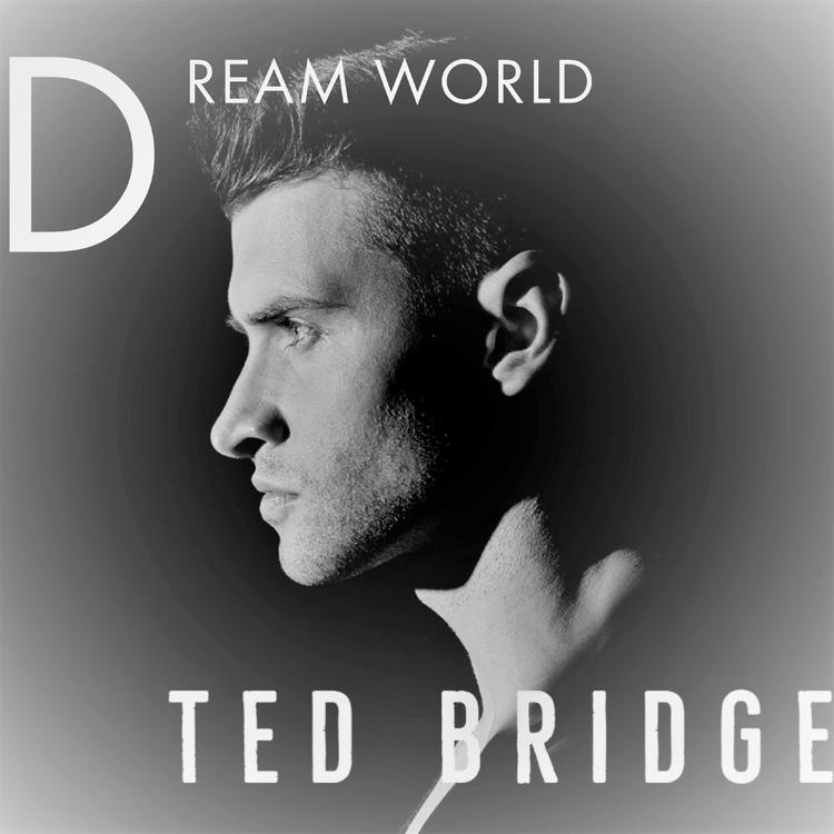 Ted Bridge's avatar image