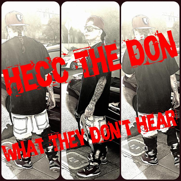 Hecc the Don's avatar image