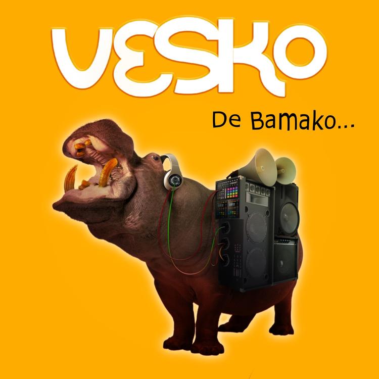 Vesko's avatar image