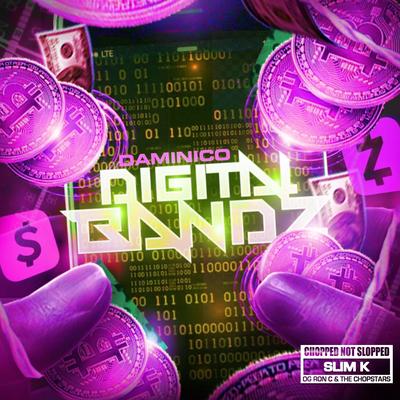 Digital Bandz Chopped Not Slopped Remix's cover