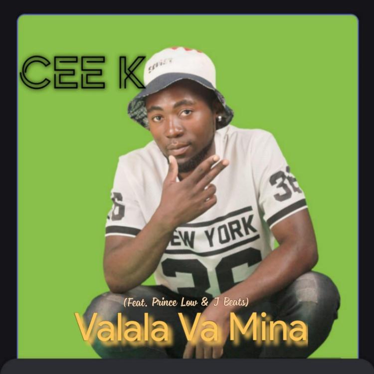 Cee K's avatar image
