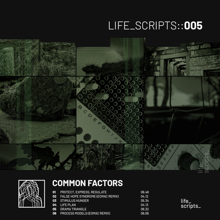 Common Factors's avatar image