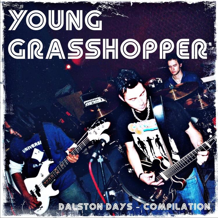 Young Grasshopper's avatar image