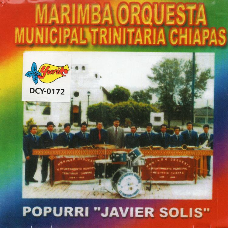 Marimba Orquesta Municipal Trinitaria Chiapas's avatar image