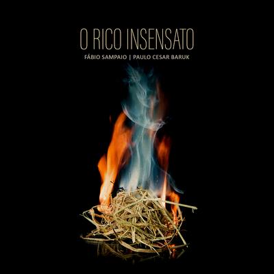 O Rico Insensato By Fábio Sampaio, Paulo Cesar Baruk's cover