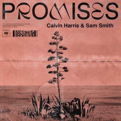 Promises By Calvin Harris, Sam Smith's cover