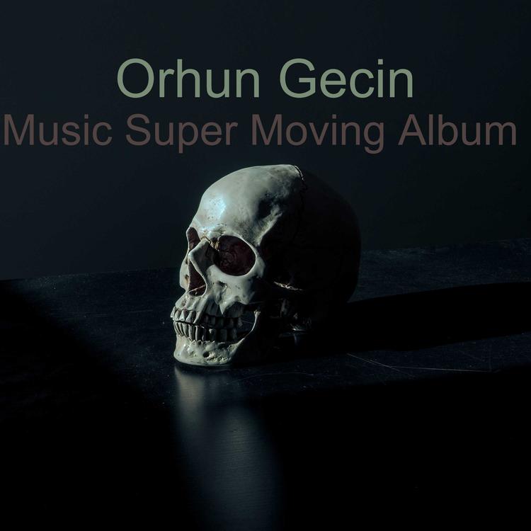 Orhun Gecin's avatar image