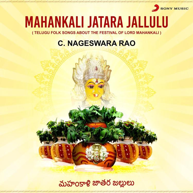 C. Nageswara Rao's avatar image