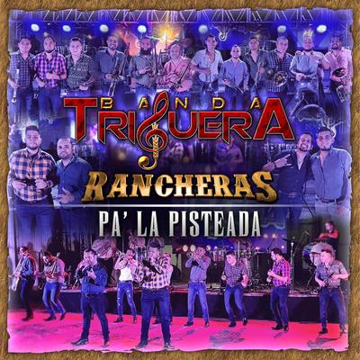 Rancheras Pa´ la Pisteada (En Vivo)'s cover