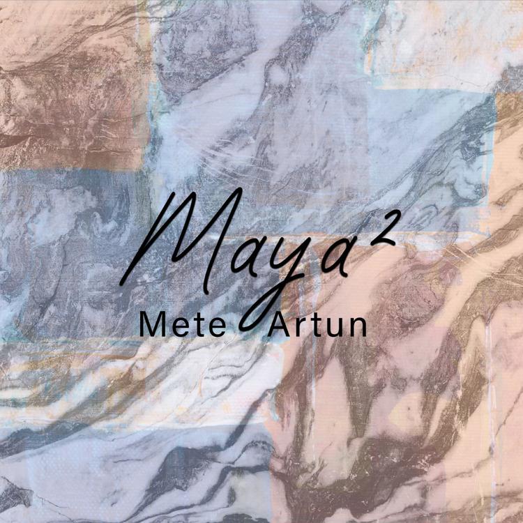 Mete Artun's avatar image