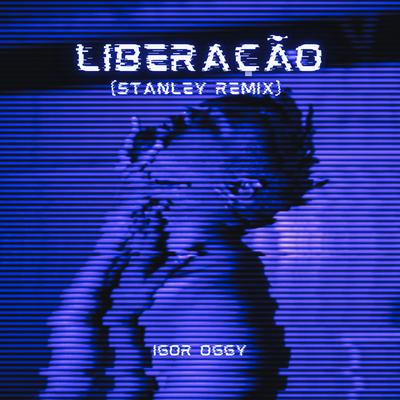 Liberação (Stanley Remix)'s cover