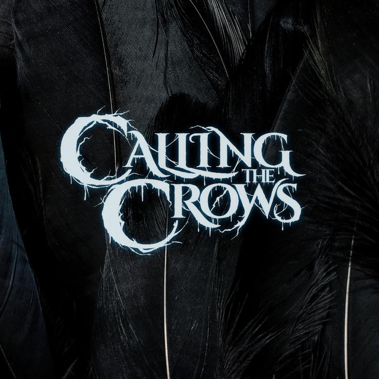 Calling the Crows's avatar image