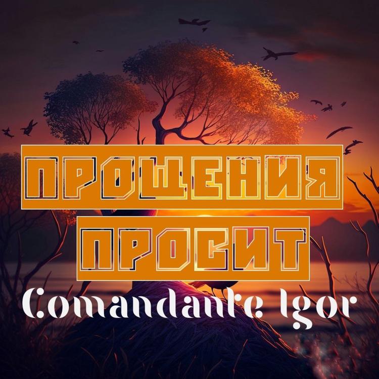 Comandante Igor's avatar image