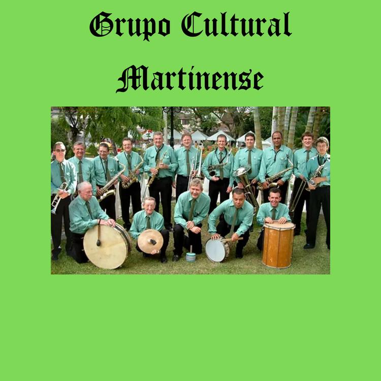 Grupo Cultural Martinense's avatar image