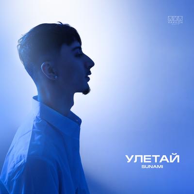 Улетай By SUNAMI's cover