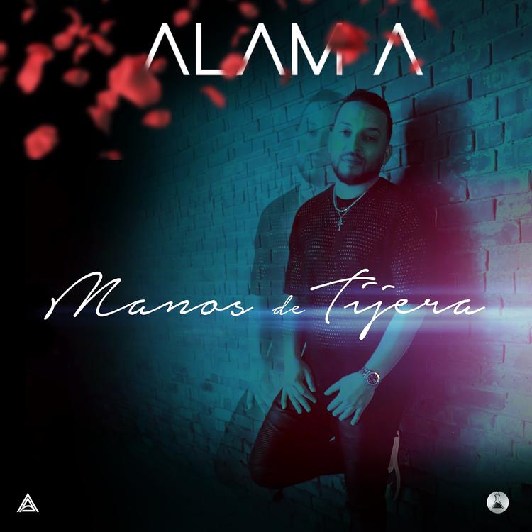 Alam A's avatar image