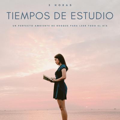 Tiempos De Estudio: Un Perfecto Ambiente De Bosque Para Leer Todo El Día - 3 Horas By Música de Estudio Relajante, Ondas Alfa Colectivo, Música ambiental relajante's cover