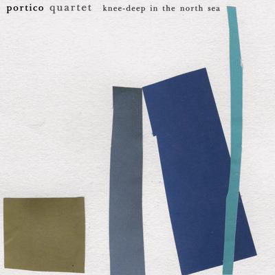 Prickly Pear By Portico Quartet's cover