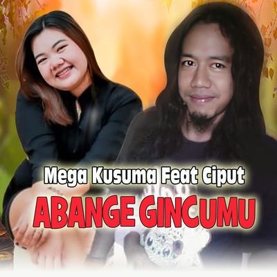 Abange Gincumu's cover