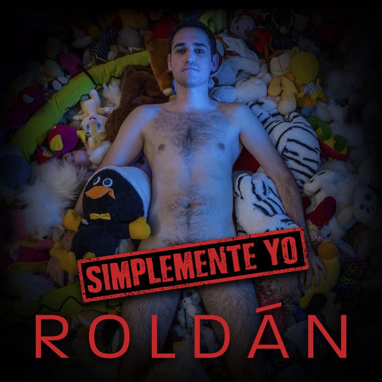 R O L D Á N's avatar image