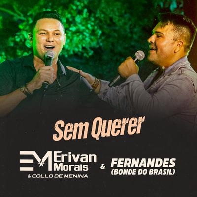 Sem Querer By Erivan Morais & Collo de Menina, Bonde do Brasil's cover