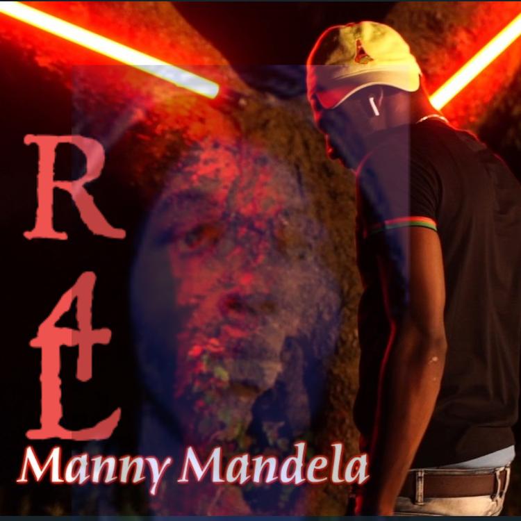 Manny Mandela's avatar image