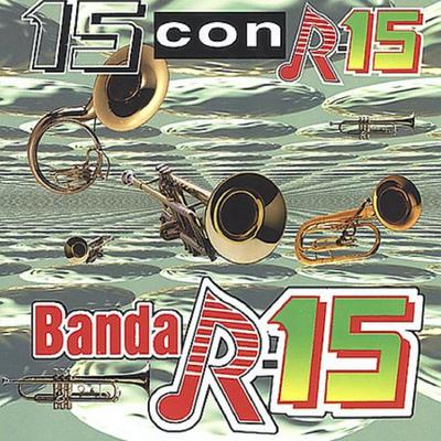 15 Con R-15's cover