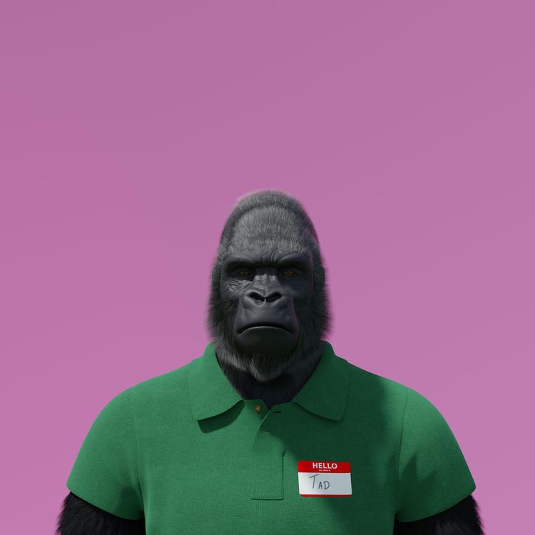 Kokaya's avatar image