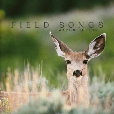 Field Songs's cover