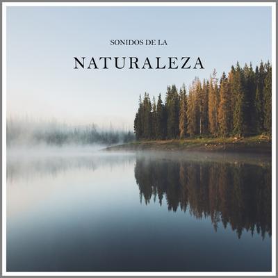 Sonidos de la Naturaleza, Pt. 35's cover