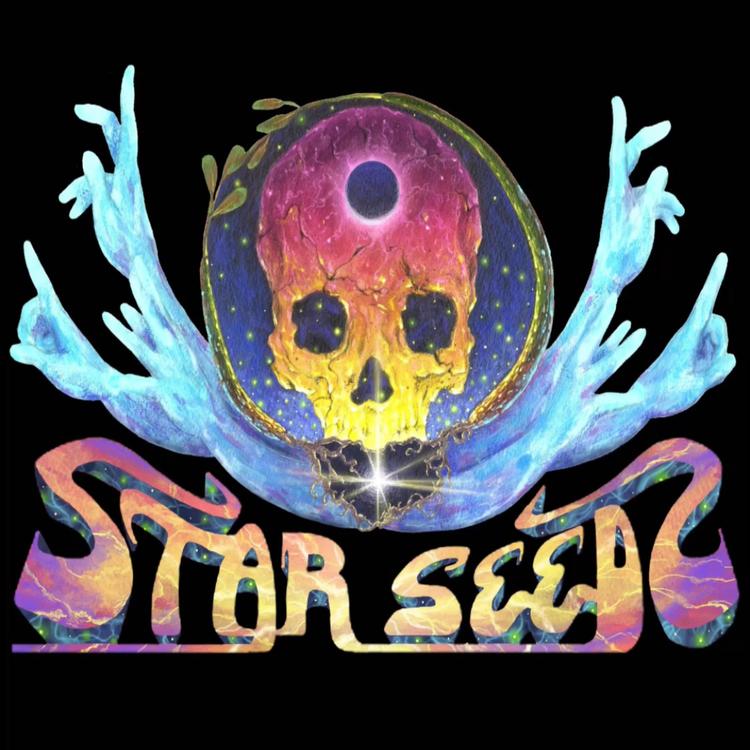 Starseeds Music's avatar image