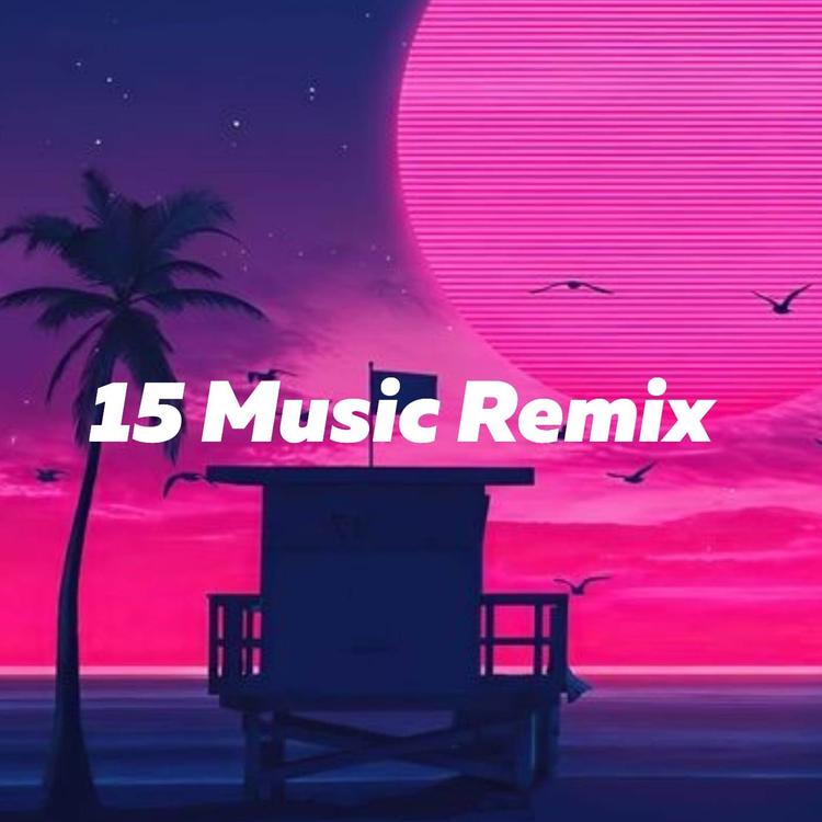 15 Music Remix's avatar image