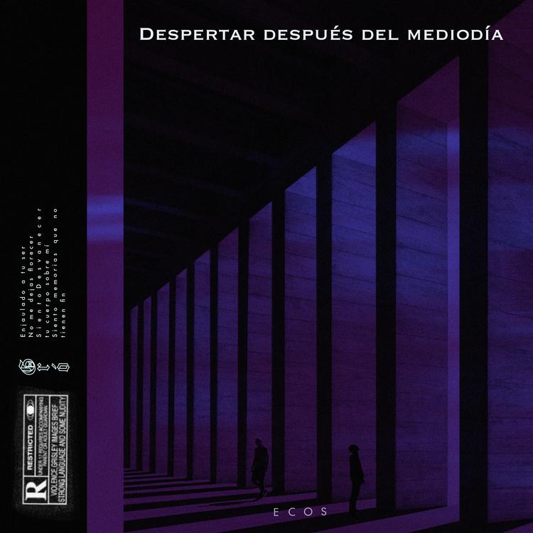 Despertar Después Del Mediodía's avatar image